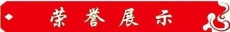 鼻炎克星 北京中医院院长——陈彦青
